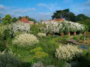WP walled garden aruncus, rosa